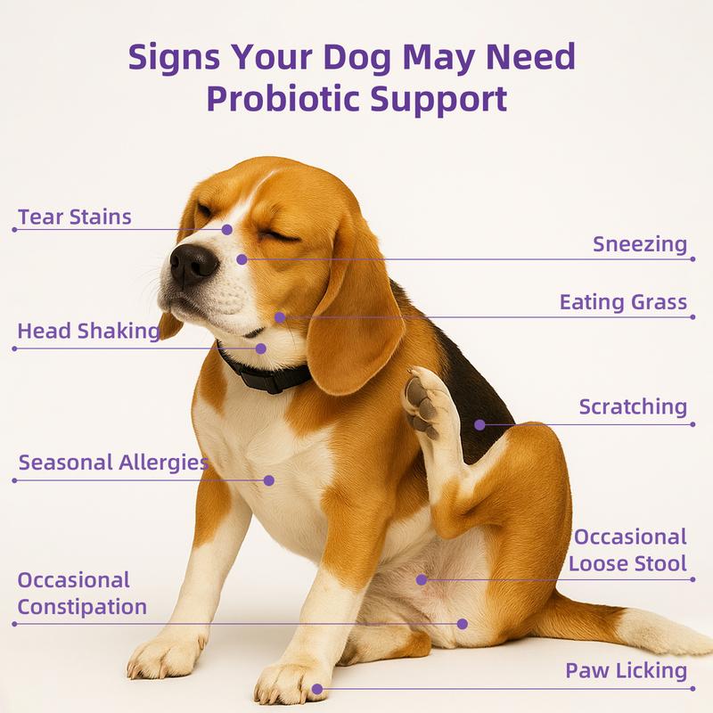 HapWag ProHealth Bites